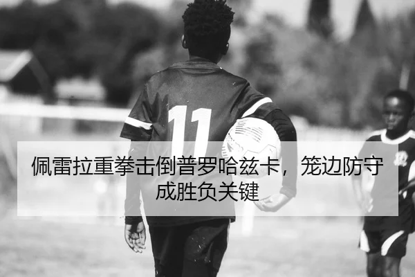 佩雷拉重拳击倒普罗哈兹卡，笼边防守成胜负关键